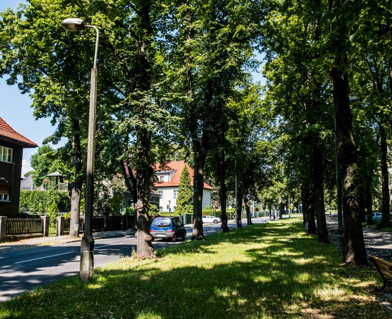 Po latach interwencji Zarząd Dróg Miejskich zdecydował się na remont alei Mickiewicza.
Fot. Michał Buksa